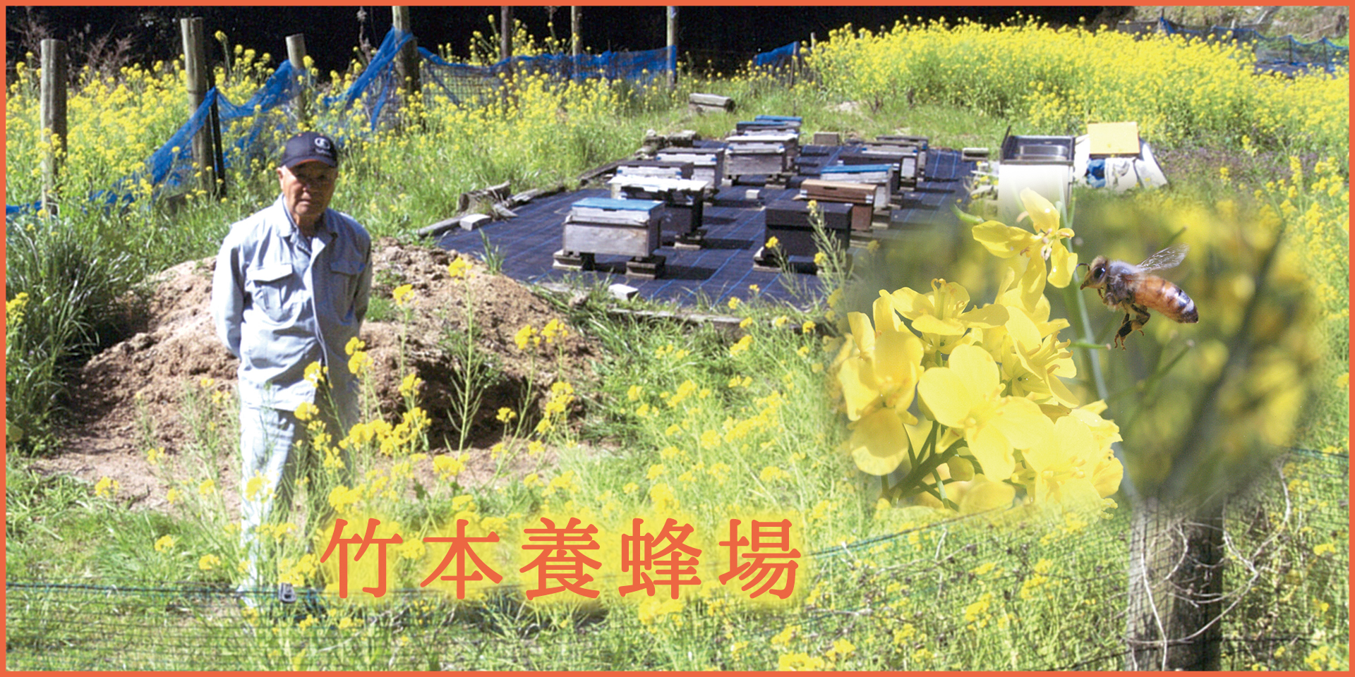 画像：竹本養蜂場